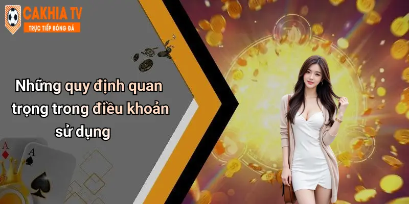 Những quy định quan trọng trong điều khoản sử dụng