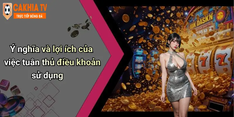 Ý nghĩa và lợi ích của việc tuân thủ điều khoản sử dụng